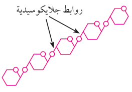 السيليلوز السيليلوز